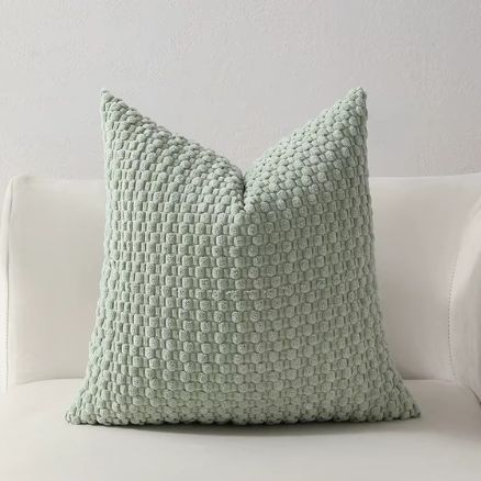 housses de coussins déco salon vert sage
